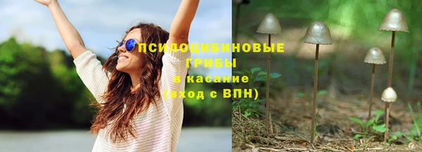 твердый Алзамай