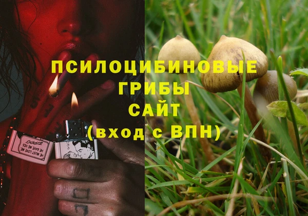 каннабис Аркадак