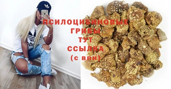 винт Арсеньев