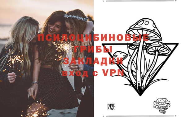 винт Арсеньев