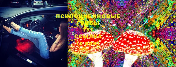 каннабис Аркадак