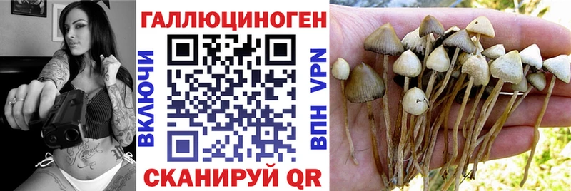 Псилоцибиновые грибы прущие грибы  Болохово 